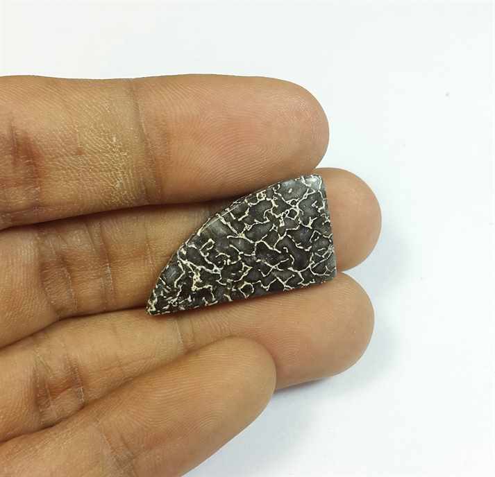 13.31 Carats Dinosour Bone 26.72 x 14.73 x 3.76 mm