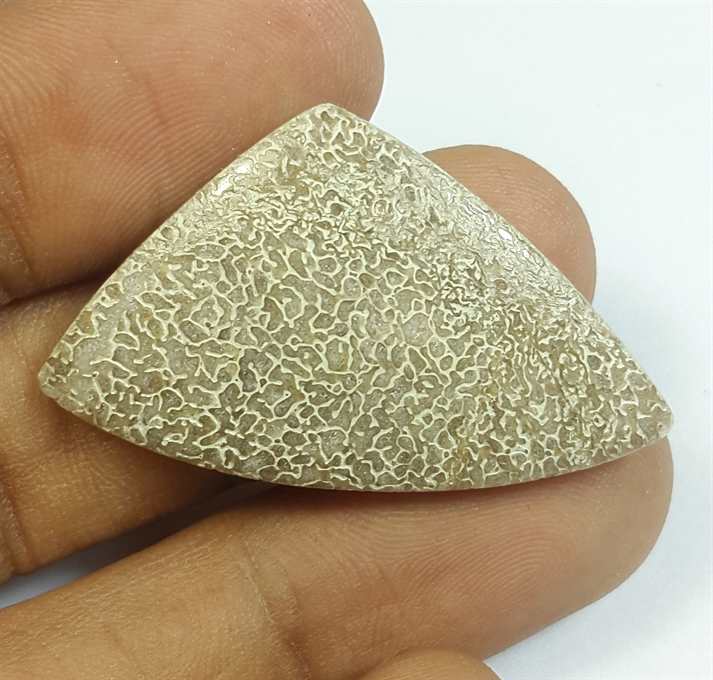 22.90 Carats Dinosour Bone 37.43 x 22.31 x 4.62 mm