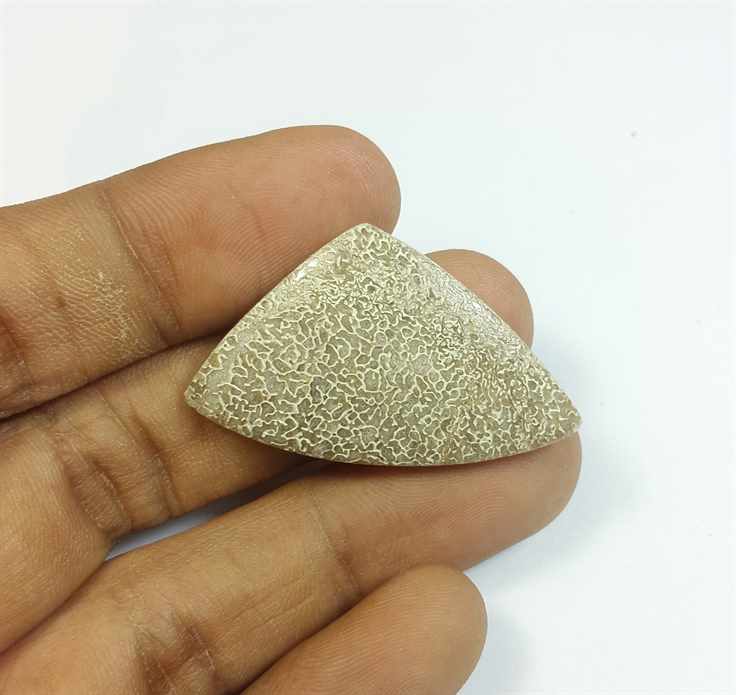 22.90 Carats Dinosour Bone 37.43 x 22.31 x 4.62 mm