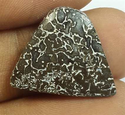 9.58 Carats Dinosour Bone 20.63 x 16.50 x 3.89 mm