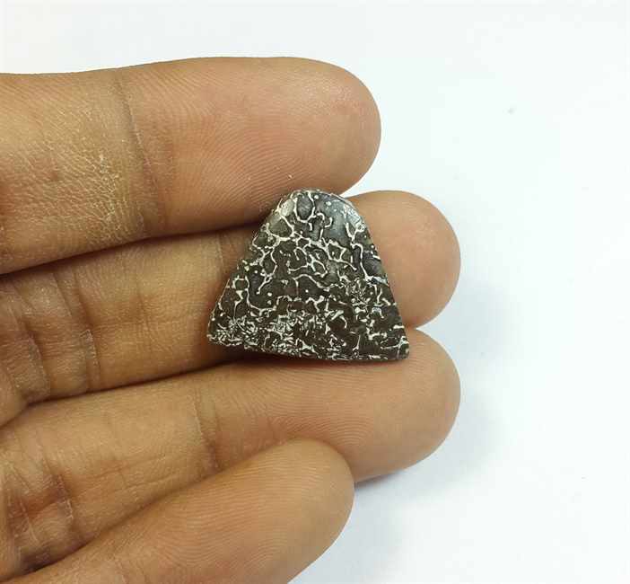 9.58 Carats Dinosour Bone 20.63 x 16.50 x 3.89 mm