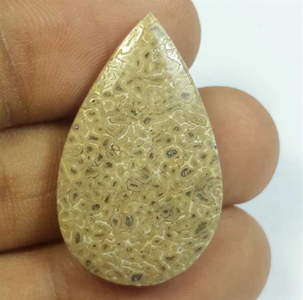 21.05 Carats Dinosour Bone 31.81 x 19.58 x 5.84 mm
