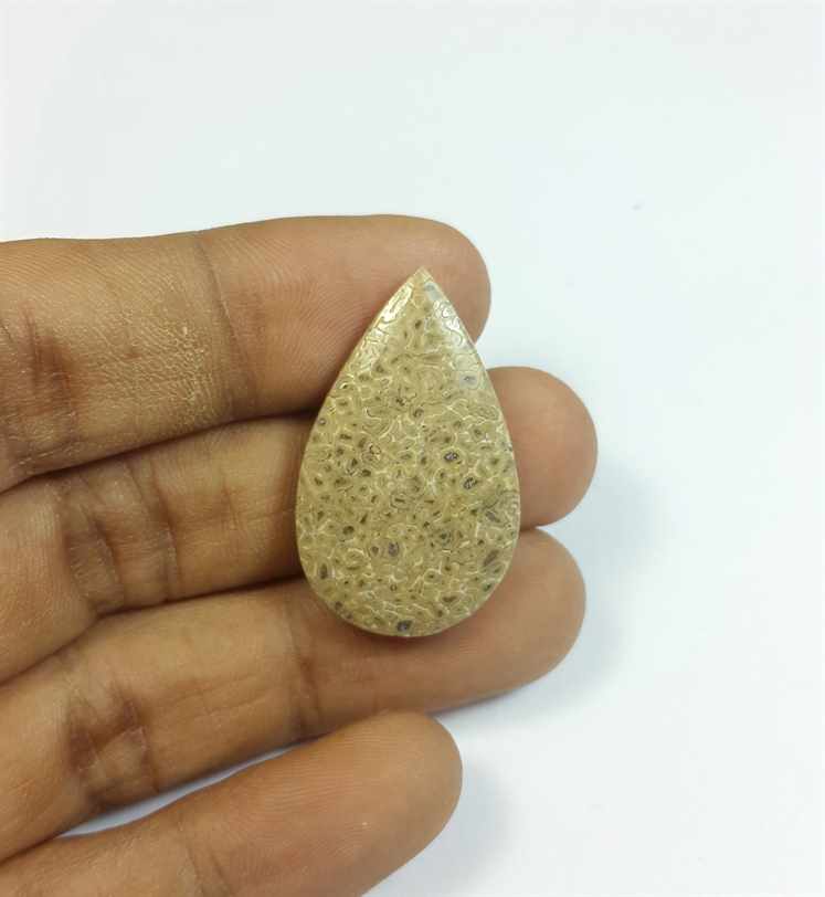 21.05 Carats Dinosour Bone 31.81 x 19.58 x 5.84 mm