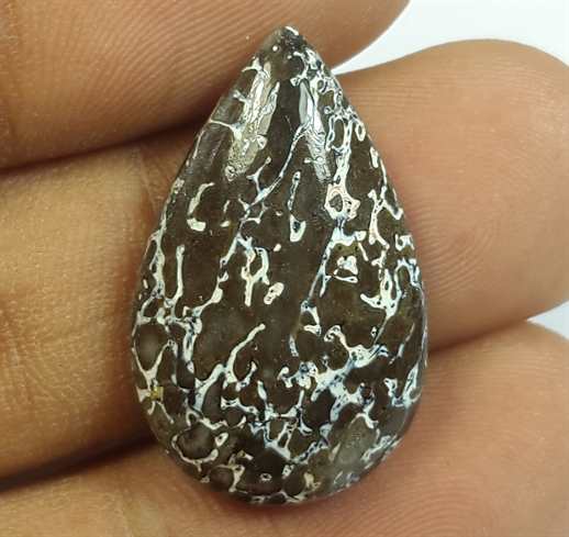 11.76 Carats Dinosour Bone 24.22 x 15.19 x 4.82 mm