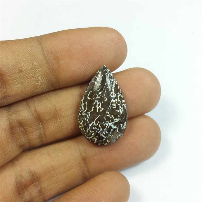 11.76 Carats Dinosour Bone 24.22 x 15.19 x 4.82 mm