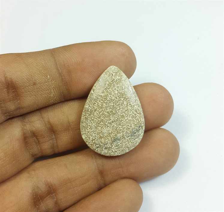 17.81 Carats Dinosour Bone 27.27 x 19.58 x 4.73 mm