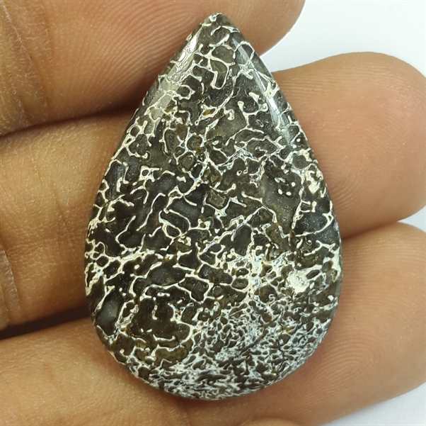 20.14 Carats Dinosour Bone 31.51 x 21.20 x 4.12 mm