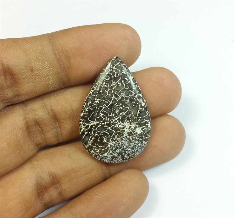 20.14 Carats Dinosour Bone 31.51 x 21.20 x 4.12 mm