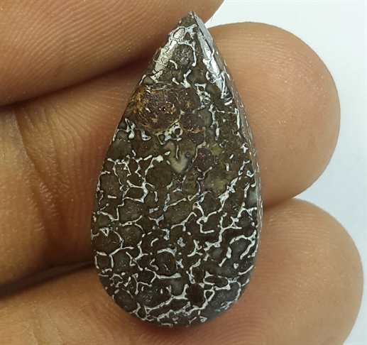 11.80 Carats Dinosour Bone 24.23 x 13.20 x 4.86 mm