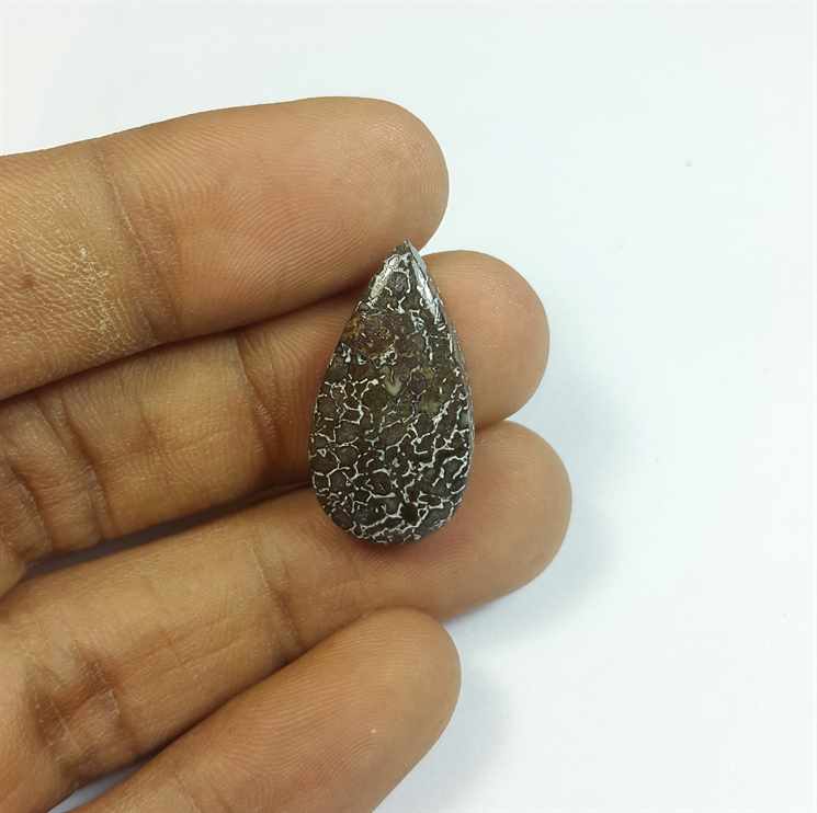 11.80 Carats Dinosour Bone 24.23 x 13.20 x 4.86 mm