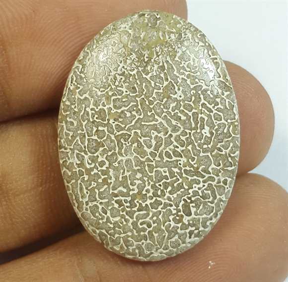 20.22 Carats Dinosour Bone 28.50 x 20.64 x 4.65 mm