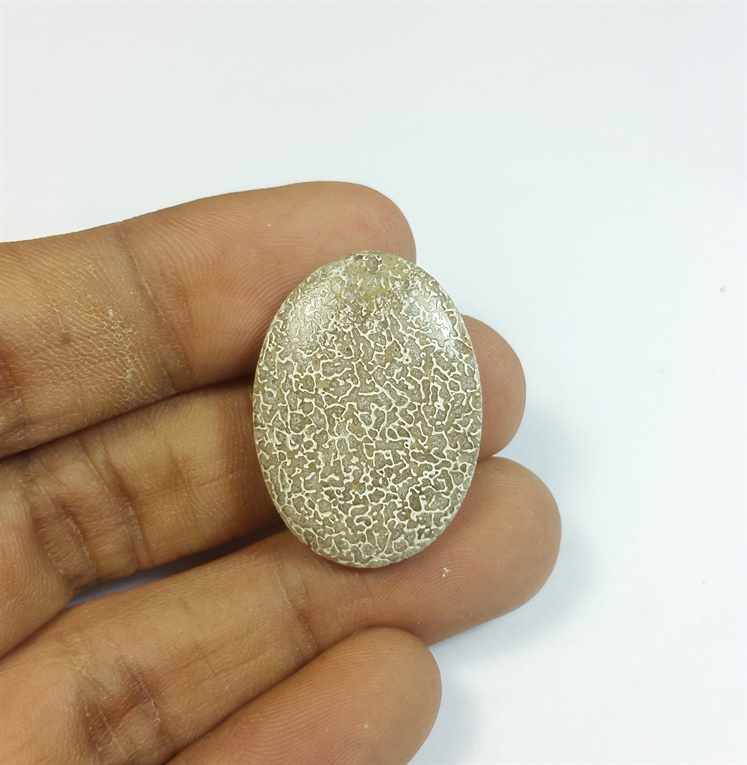 20.22 Carats Dinosour Bone 28.50 x 20.64 x 4.65 mm