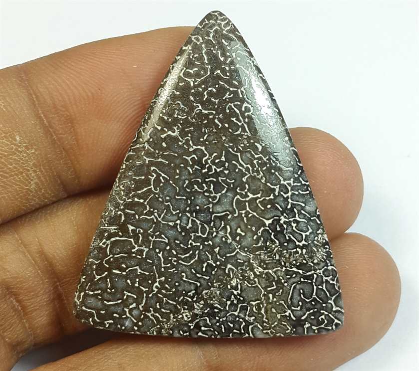 37.78 Carats Dinosour Bone 37.66 x 31.03 x 4.78 mm