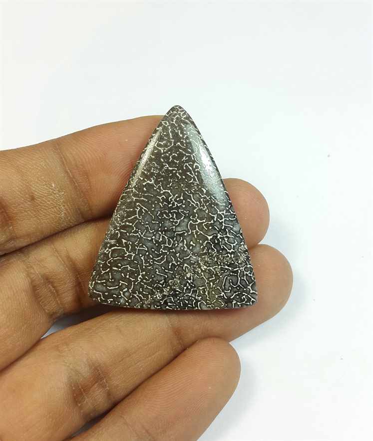 37.78 Carats Dinosour Bone 37.66 x 31.03 x 4.78 mm