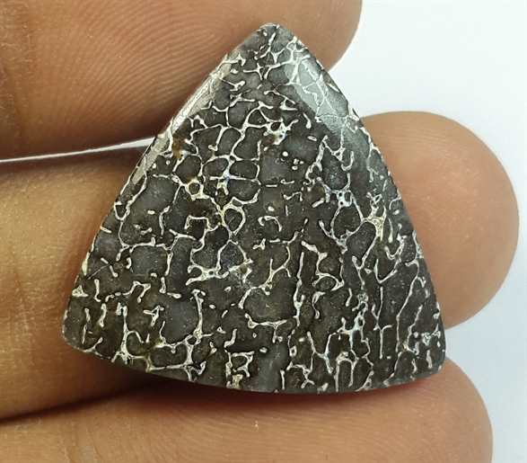 19.24 Carats Dinosour Bone 23.40 x 23.91 x 4.58 mm