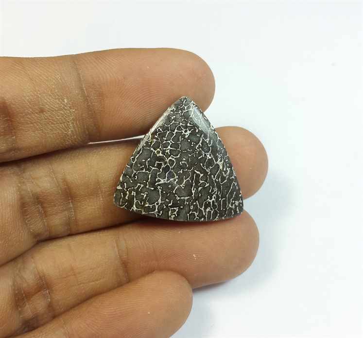 19.24 Carats Dinosour Bone 23.40 x 23.91 x 4.58 mm