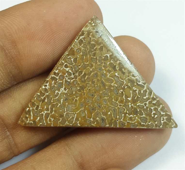23.78 Carats Dinosour Bone 37.07 x 25.59 x 4.33 mm
