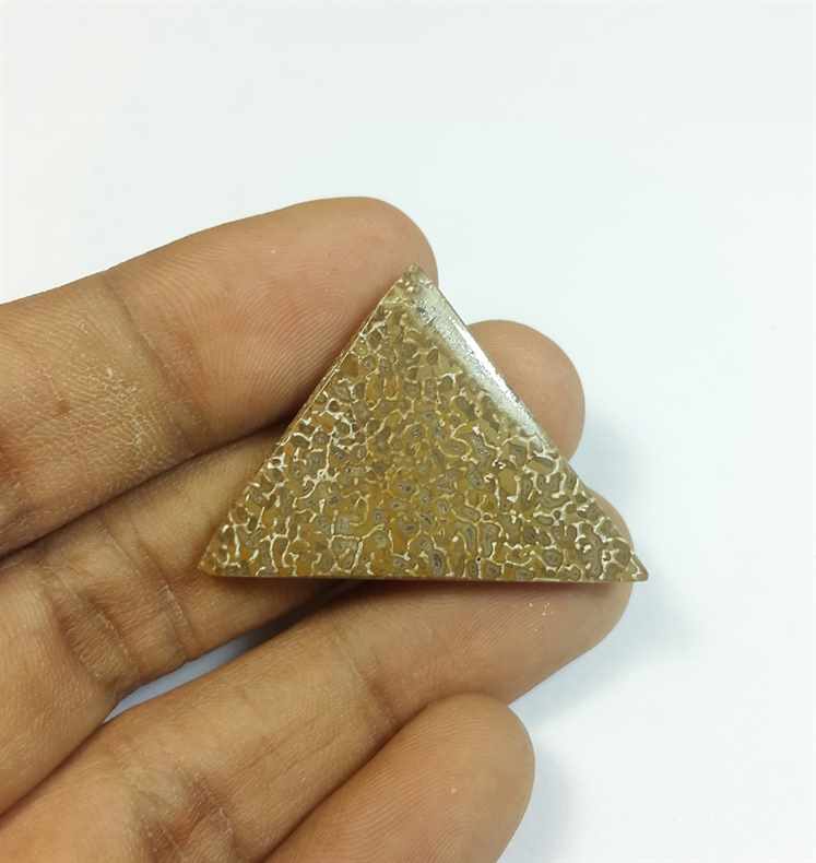 23.78 Carats Dinosour Bone 37.07 x 25.59 x 4.33 mm