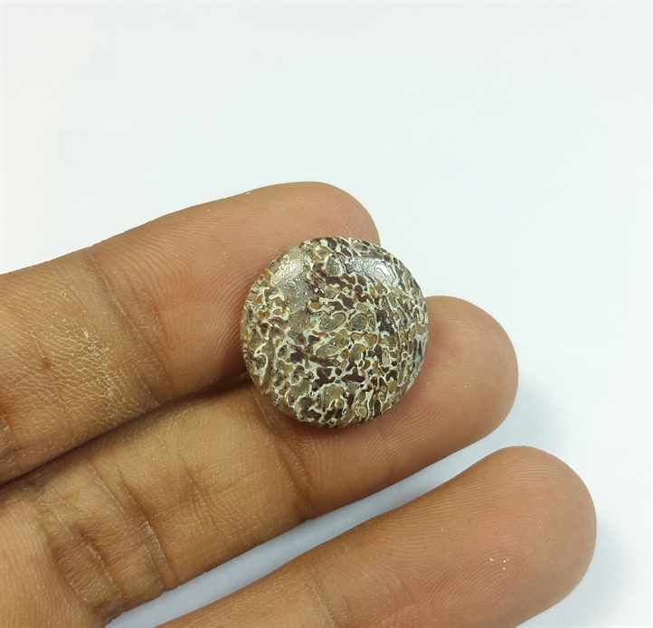 8.65 Carats Dinosour Bone 17.40 x 17.40 x 3.72 mm