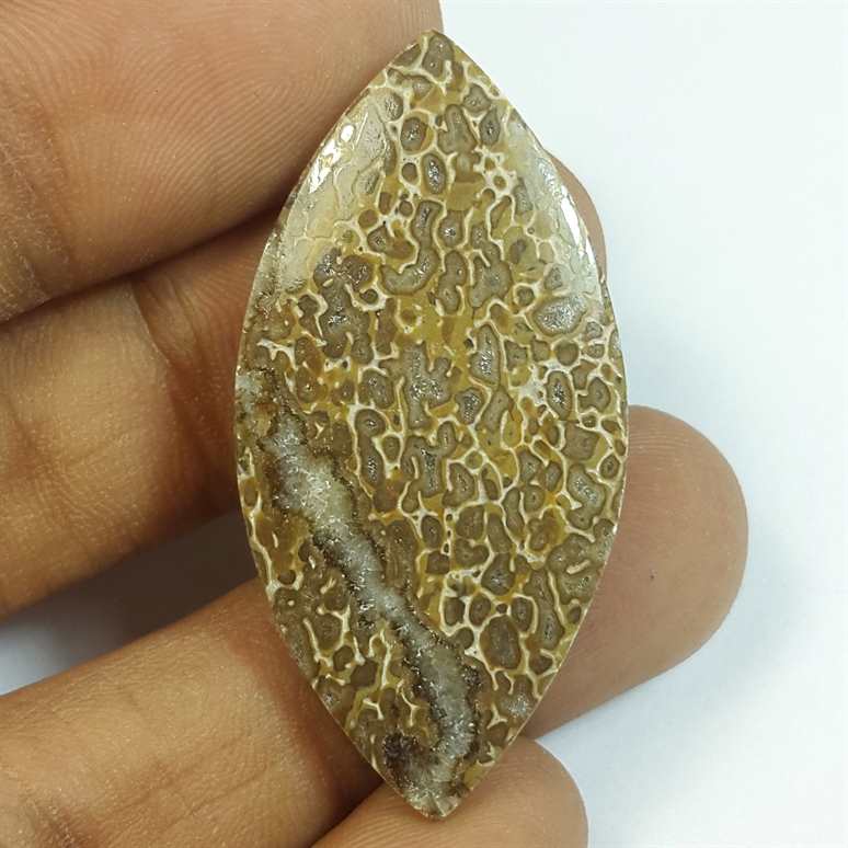 24.00 Carats Dinosour Bone 41.51 x 20.66 x 3.80 mm