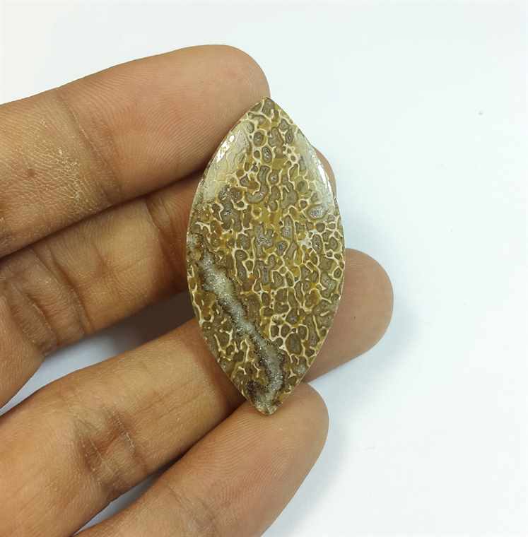 24.00 Carats Dinosour Bone 41.51 x 20.66 x 3.80 mm