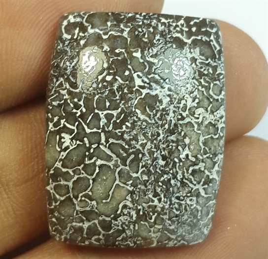 28.97 Carats Dinosour Bone 25.61 x 19.56 x 6.63 mm