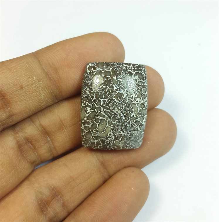 28.97 Carats Dinosour Bone 25.61 x 19.56 x 6.63 mm