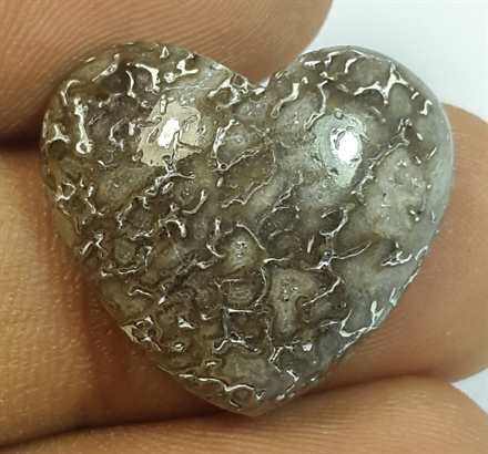 15.23 Carats Dinosour Bone 18.36 x 20.70 x 5.96 mm
