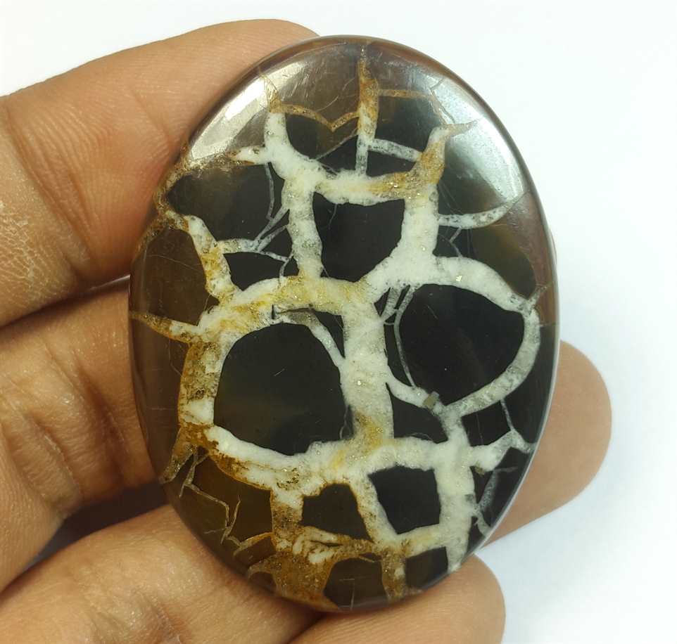 67.77 Carats Septarian 44.91 x 33.48 x 4.83 mm