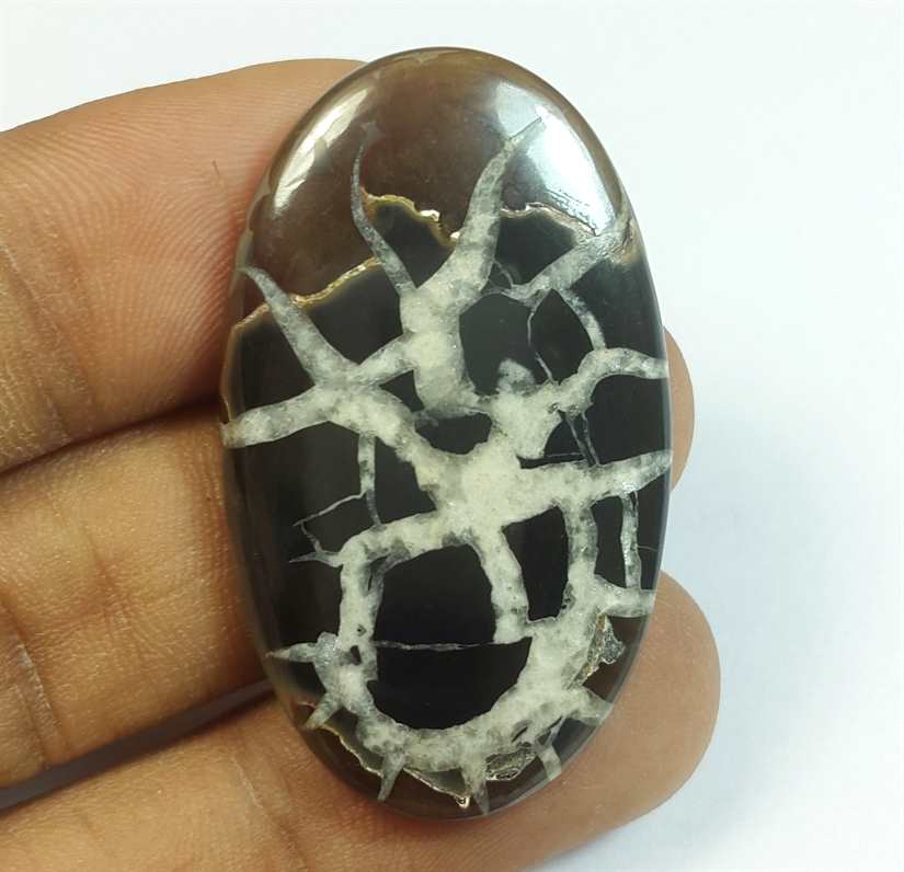 44.61 Carats Septarian 40.72 x 23.88 x 4.66 mm