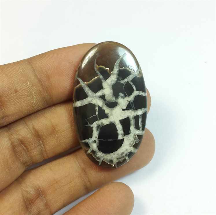 44.61 Carats Septarian 40.72 x 23.88 x 4.66 mm