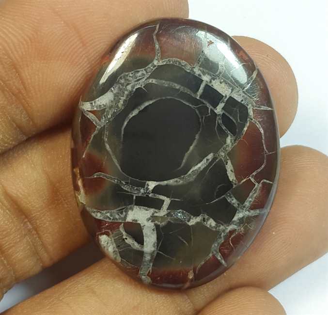 32.78 Carats Septarian 33.75 x 25.74 x 5.28 mm