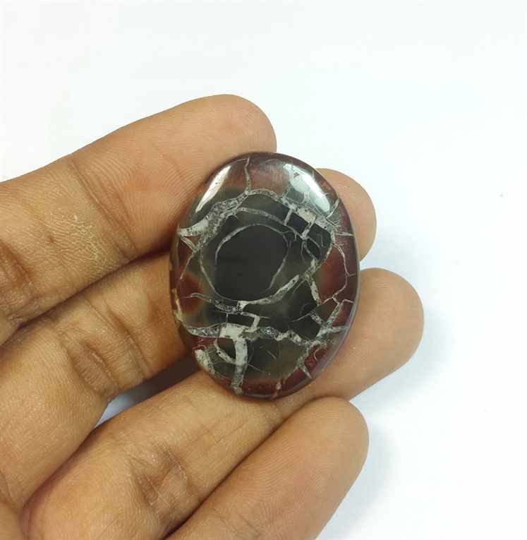 32.78 Carats Septarian 33.75 x 25.74 x 5.28 mm