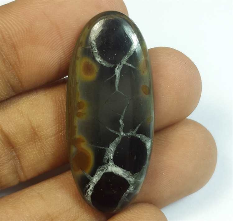 32.95 Carats Septarian 37.98 x 16.75 x 5.25 mm