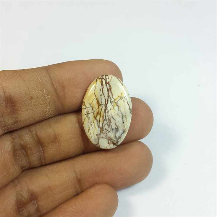 10.61 Carats Cherry Creek Jasper 24.24 x 16.34 x 3.33 mm