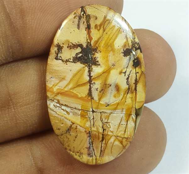 14.41 Carats Cherry Creek Jasper 30.38 x 18.88 x 3.75 mm