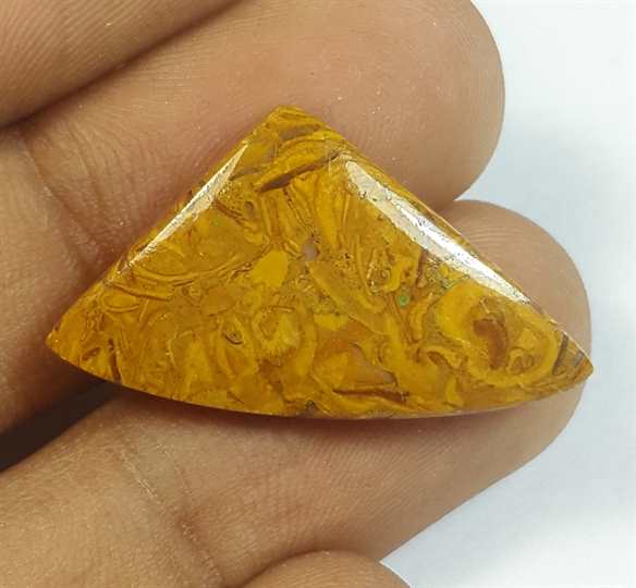 11.78 Carats Cherry Creek Jasper 28.24 x 15.98 x 3.95 mm