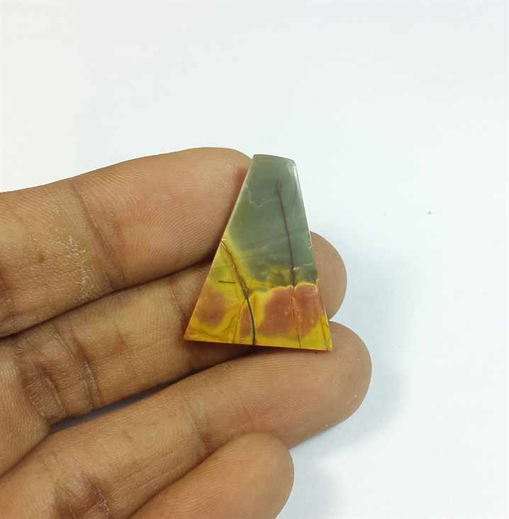 10.93 Carats Cherry Creek Jasper 26.23 x 20.01 x 2.73 mm