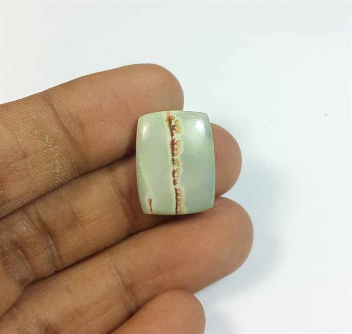 10.58 Carats Cherry Creek Jasper 18.80 x 14.35 x 4.21 mm