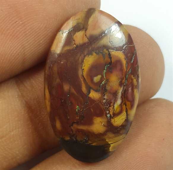 14.88 Carats Cherry Creek Jasper 25.26 x 15.96 x 4.64 mm