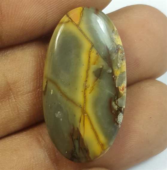 15.26 Carats Cherry Creek Jasper 27.66 x 14.81 x 4.21 mm