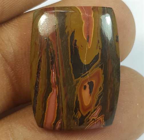 15.37 Carats Cherry Creek Jasper 21.67 x 15.79 x 4.42mm