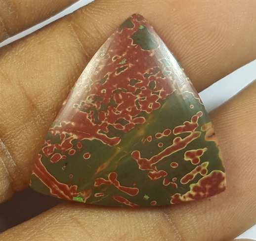 13.64 Carats Cherry Creek Jasper 22.19 x 22.19 x 3.76 mm