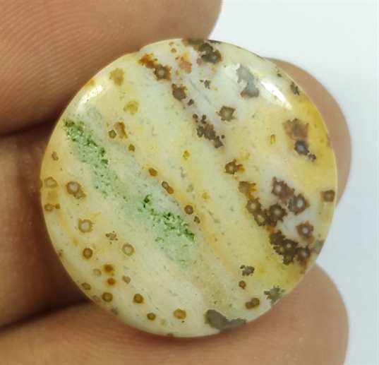 16.35 Carats Ocean Jasper 21.53 x 21.53 x 5.18 mm