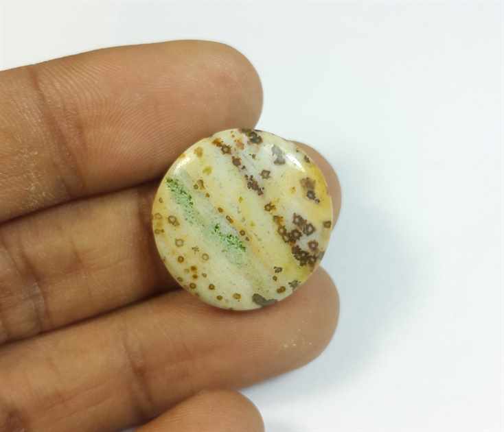 16.35 Carats Ocean Jasper 21.53 x 21.53 x 5.18 mm