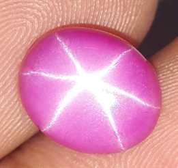 10.27 Carats Star Ruby 15.50 x 14.84 x 4.05 mm