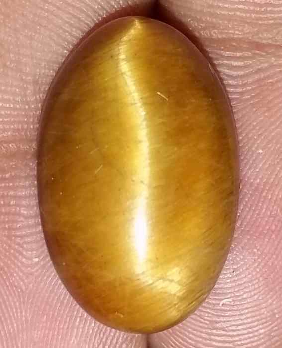 18.65 Carats Tiger Eye 21.26 x 13.47 x 9.25 mm