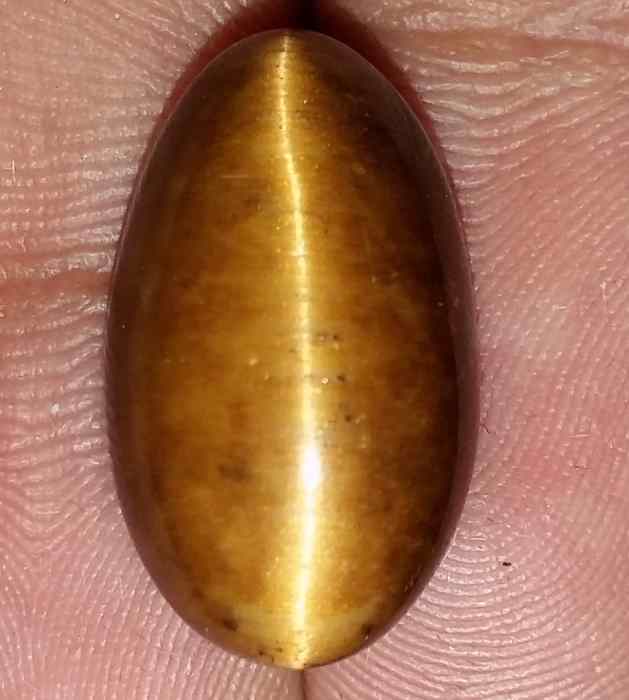 12.32 Carats Tiger Eye 18.60 x 11.02 x 8.27 mm