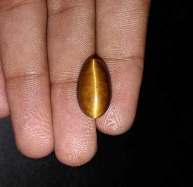 12.32 Carats Tiger Eye 18.60 x 11.02 x 8.27 mm