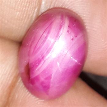 20.25 Cts Star Ruby Johnson Mine 15.21 x 11.91 x 10.54 mm